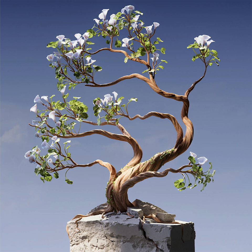 GELECEĞE YÖN VEREN TOPLUMSAL ETKİ YARATIYORUZ